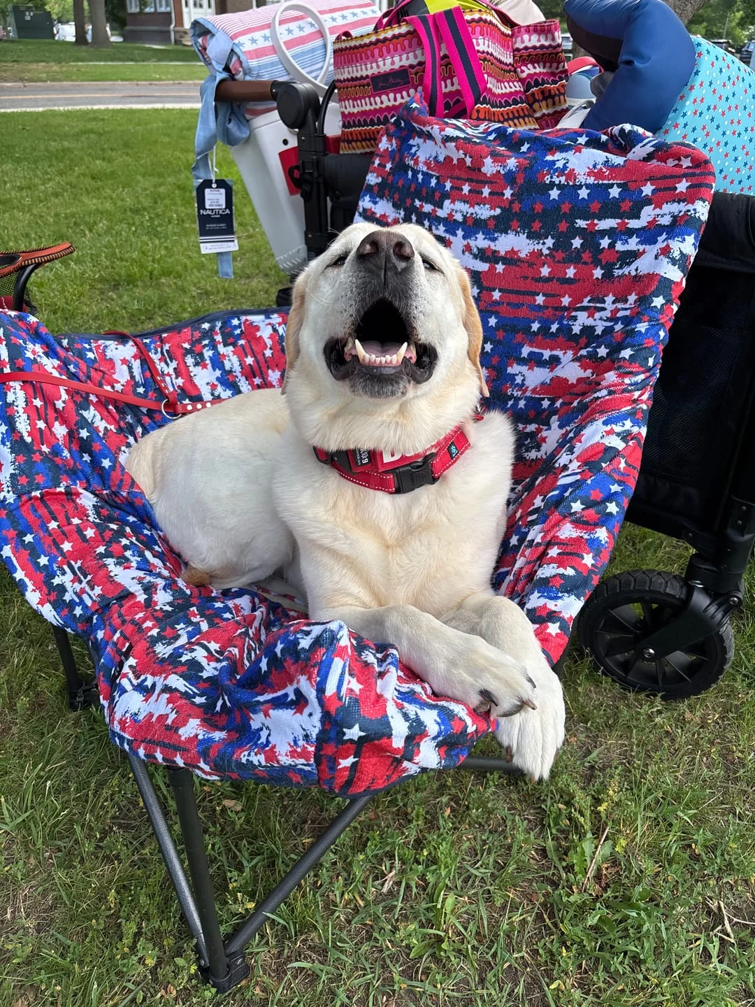 Customer photo review of The Beach Towel Chair Blanket™